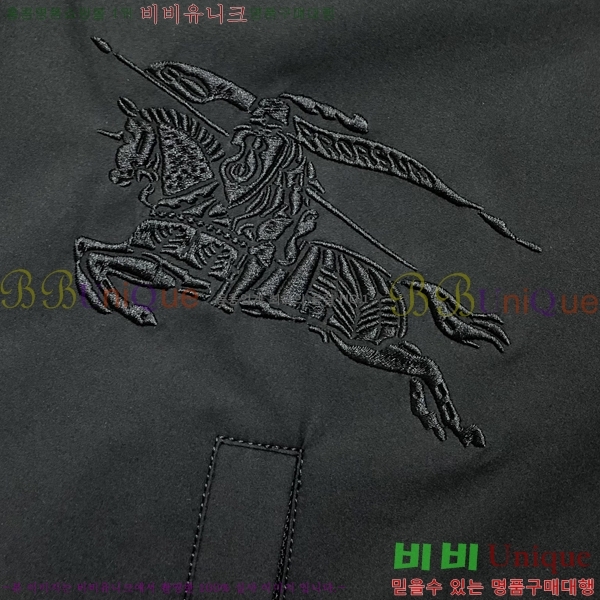    BU23753